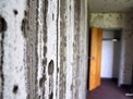 img_5297